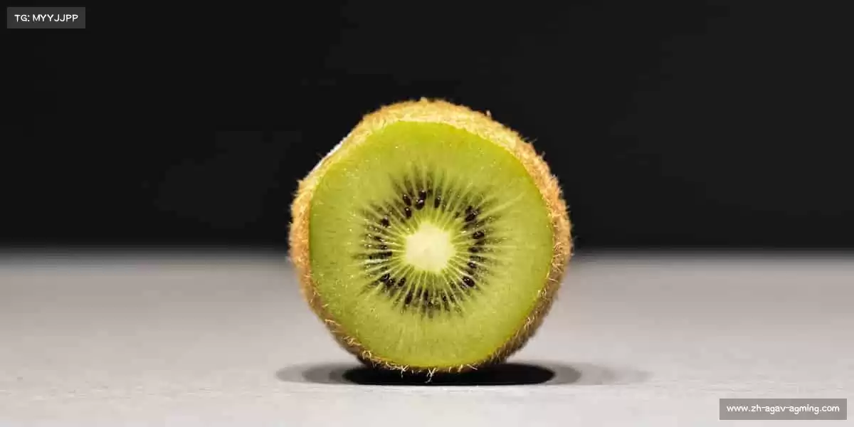 AG娱乐登录——点燃运动激情,官网启征程🏃♂️